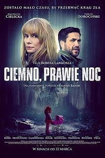 Постер Темно, почти ночь (Ciemno, prawie noc)