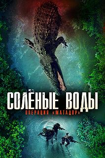 Постер Солёные воды: Операция «Матадор» (Saltwater: The Battle for Ramree Island)