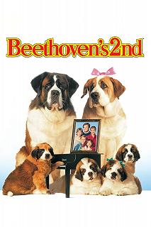 Постер Бетховен 2 (Beethoven's 2nd)