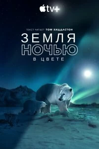 Сериал Земля ночью в цвете — постер