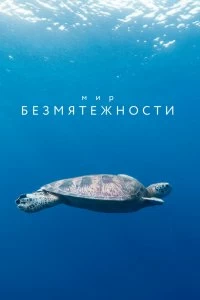 Сериал Мир безмятежности — постер