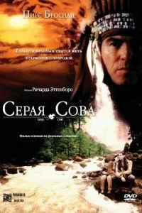 Постер Серая сова (Grey Owl)