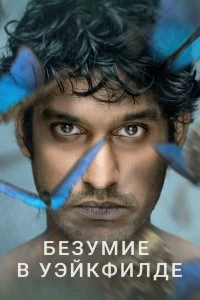 Сериал Безумие в Уэйкфилде — постер