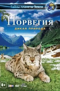 Постер Норвегия 3D: Дикая природа (Norway 3D)