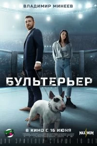 Постер Бультерьер 