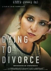 Постер Умереть до развода (Dying to Divorce)