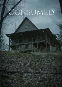 Постер Поглощение (Consumed)