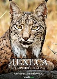 Постер Дехеса: Лес пиренейской рыси (Dehesa, el bosque del lince ibérico)