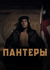 Сериал Пантеры — постер