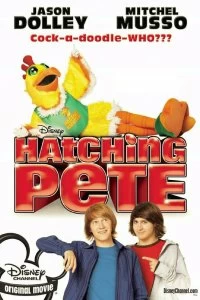 Постер Пит в перьях (Hatching Pete)