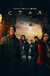 Сериал Стая — постер