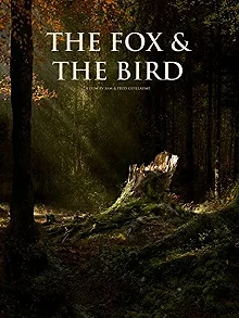 Постер Лиса и птица (The Fox and the Bird)