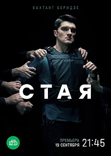 Сериал Стая — постер