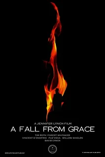 Постер Грехопадение (A Fall from Grace)