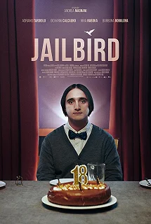 Постер Заключенный (Jailbird)