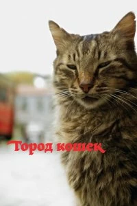 Фильм Город кошек — постер