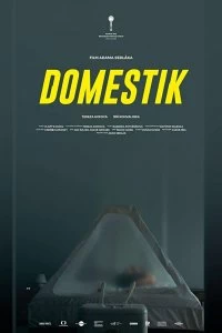 Фильм Домашний режим смотреть онлайн — постер