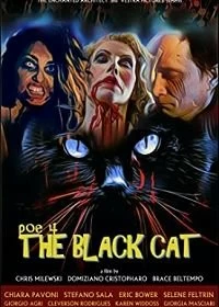 Фильм Чёрный кот смотреть онлайн — постер