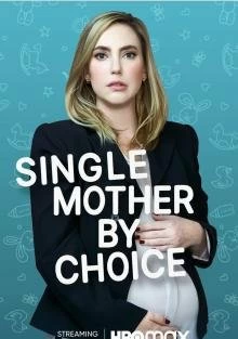Фильм Мать-одиночка по выбору смотреть онлайн — постер