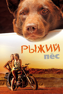 Рыжий пес
