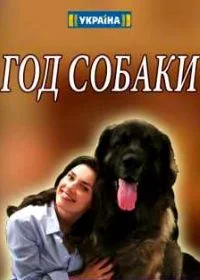Год собаки