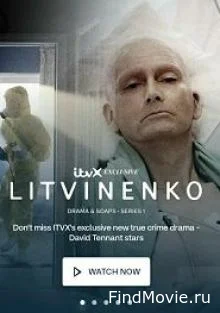 Литвиненко